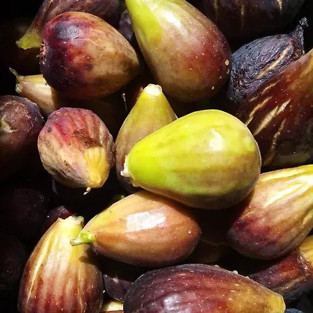 Gran Calma Agri * Polcenigo